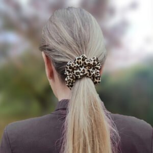 Le Petit Chouchou d’Harmonie – Les Elégants